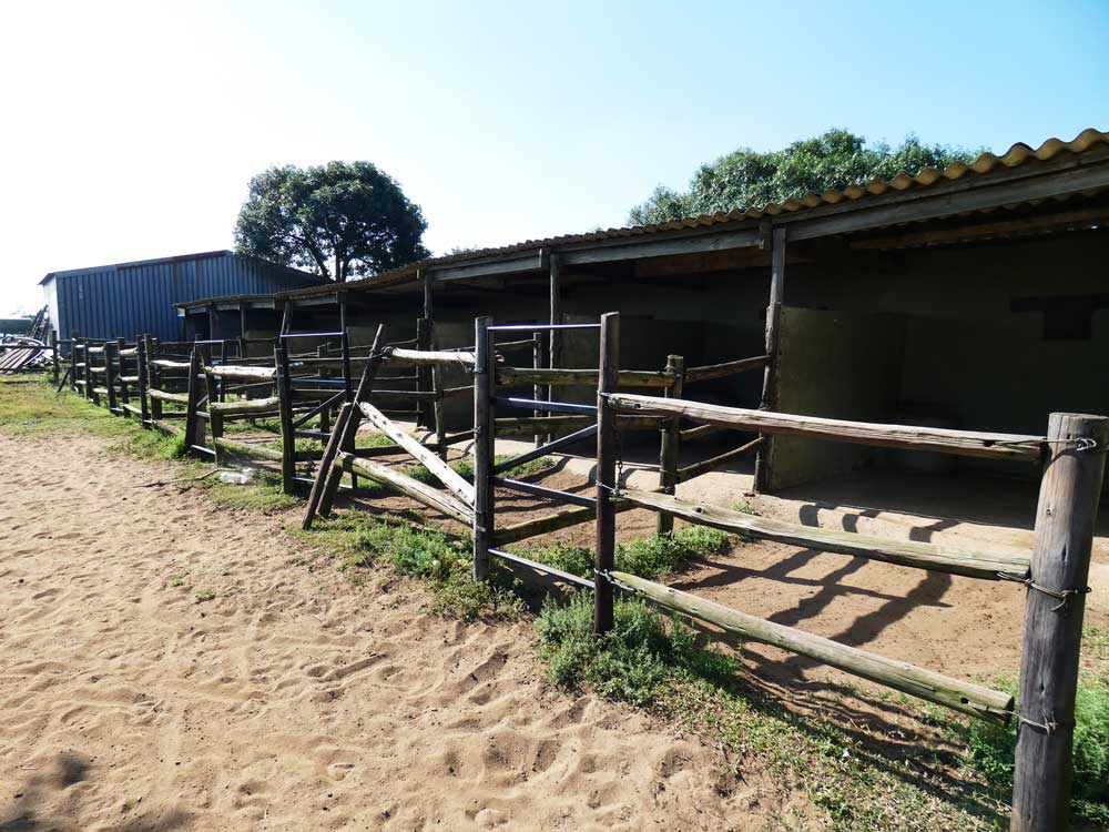 10-Stables-2
